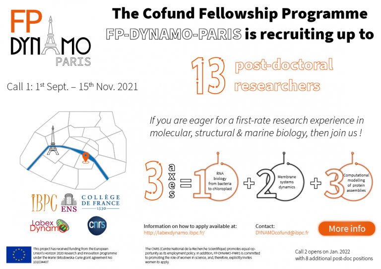 Read more about the article Apply for FP-DYNAMO-PARIS FELLOWSHIP PROGRAMME