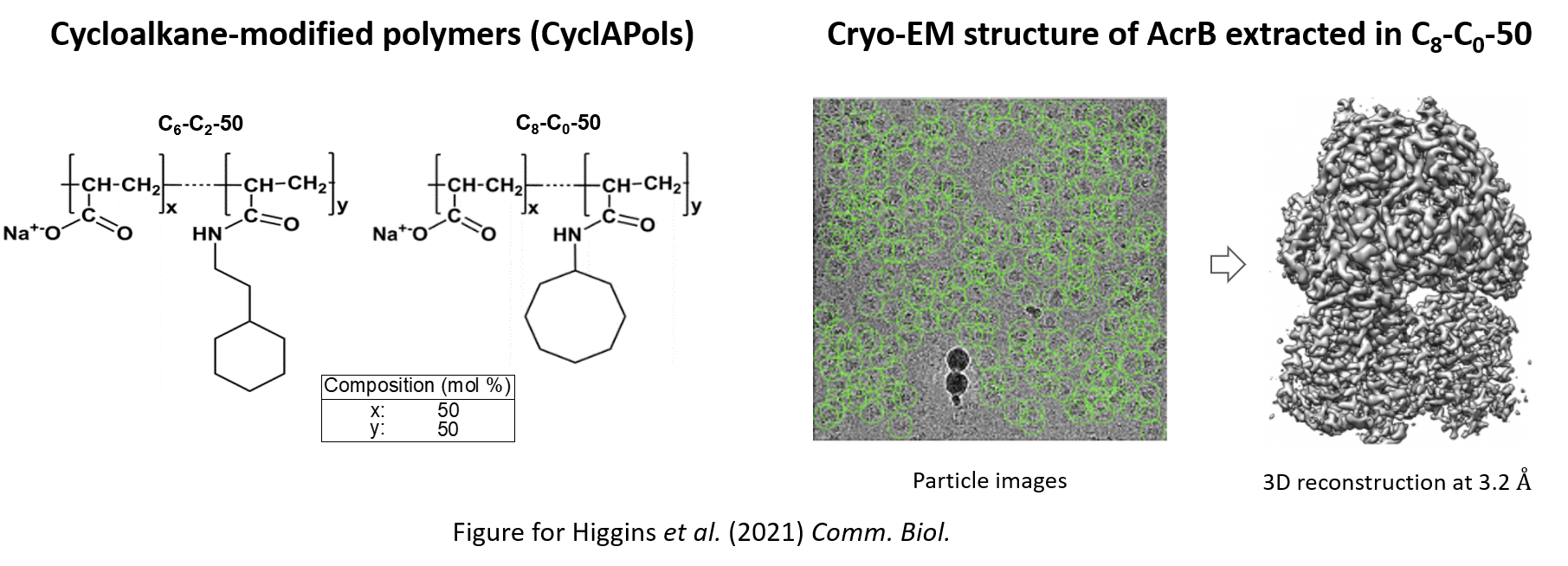 You are currently viewing Communications Biology  publication