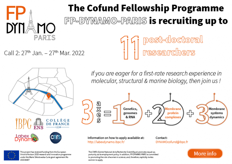 Read more about the article Apply for FP-DYNAMO-PARIS FELLOWSHIP PROGRAMME CALL2