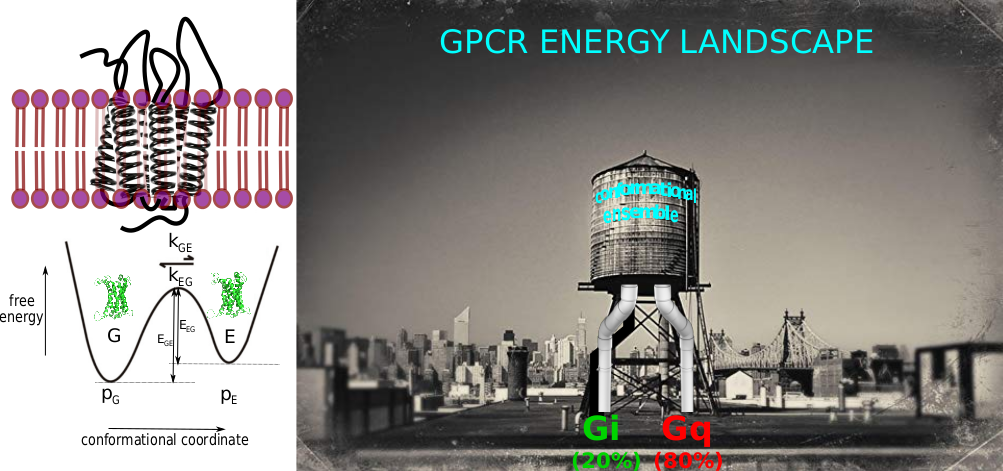 GPCR Energy Landscape