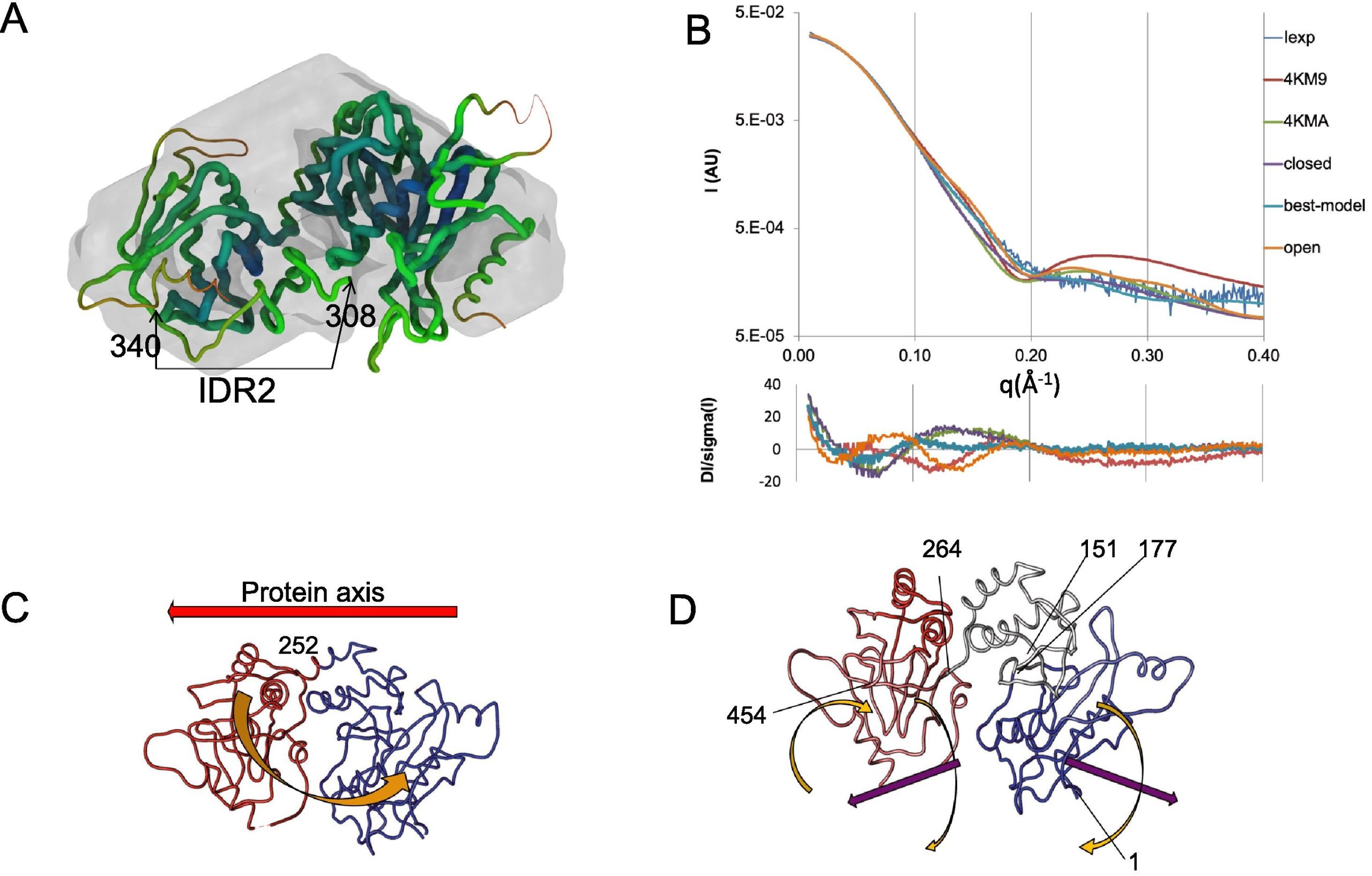 Read more about the article Journal of Structural Biology publication