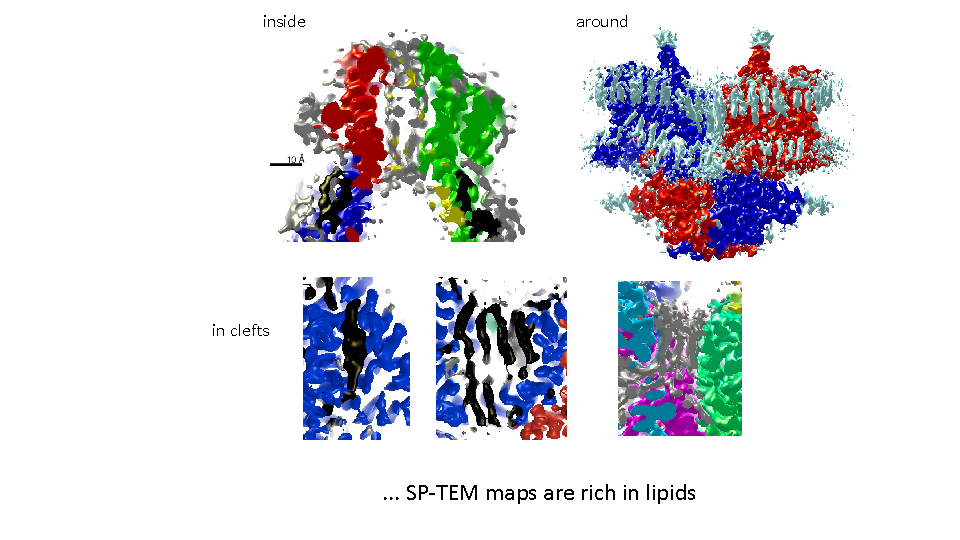 Lipid-membrane protein interaction visualised by cryo-EM